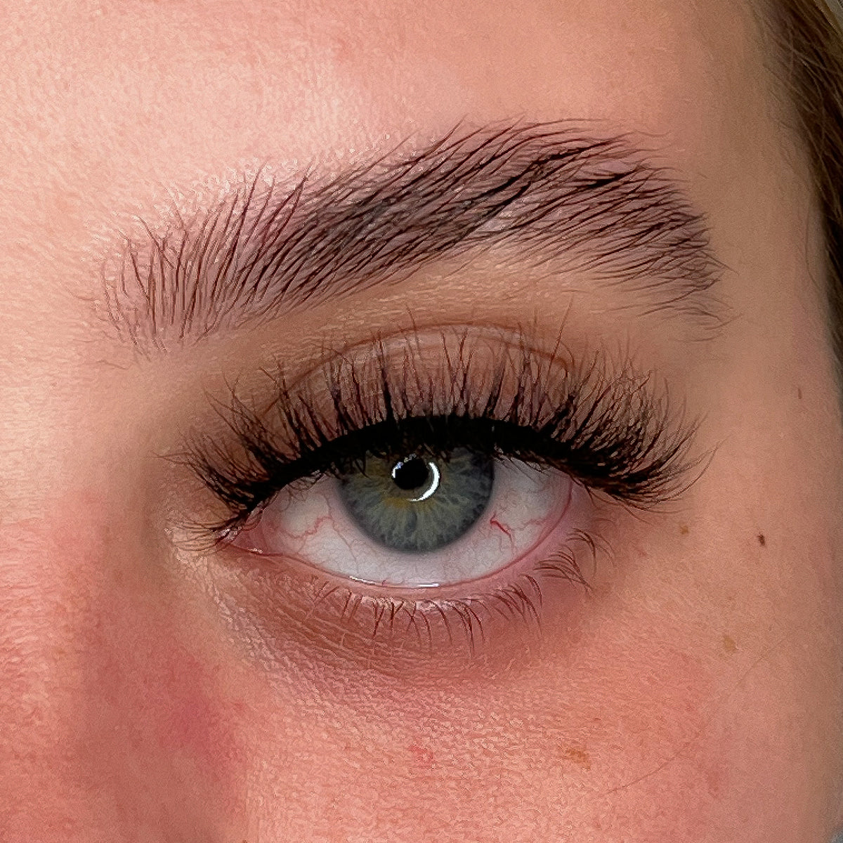 【美品】THE WHALE'S EYELASH image_fd74f1de-7e87-4df1-b227-