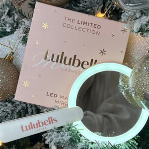 LED HANDHELD MIRROR