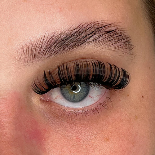 DAISY LASH