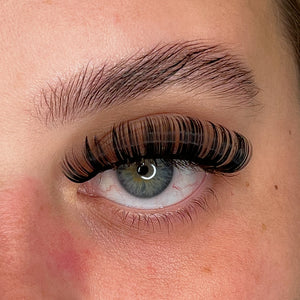 DAISY LASH